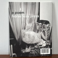 Two Teenagers by John Colasacco (2016, Horse Less Press) First edition