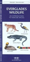 Dinosaurs: A Folding Pocket Guide to Familiar Species, Their Habits and H – GOOD