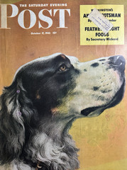1942 W W Calvert Saturday Evening Post Gordon Setter Original Magazine Cover
