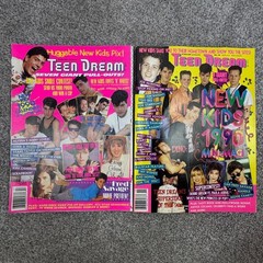 2 Teen Dream Magazines 17 Fall 1989 & 19 Spring 1990 NKOTB Gibson Savage Abdul
