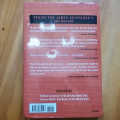 Lying with Strangers by James Grippando (2006, Hardcover)