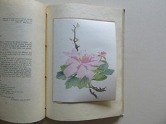 Fragrance from a Chinese Garden by Alfred Koehn Lotus Court, Peking China, 1944