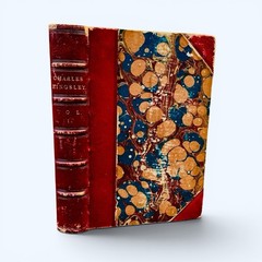 1879 Charles Kingsley His Letters and Memories Finely Bound 1/4 Leather Marbled