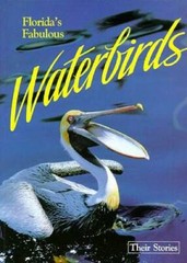 Florida’s Fabulous Waterbirds: Their Stories – Paperback – GOOD