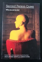 SECOND PERSON QUEER Who You Are (So Far) GAY Non-fiction ESSAYS BRAND NEW! OOP