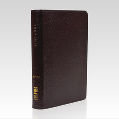 2011 NIV Compact Thinline Bible. Bonded Leather HC VG