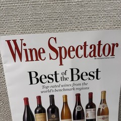 Wine Spectator Magazine March,31 2025 Best of the Best Top Rated Wines