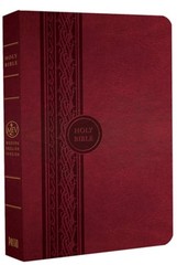 Thinline Bible-MEV by Charisma House: Used