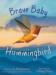 Brave Baby Hummingbird – GOOD