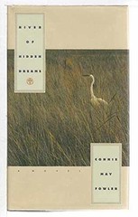 River of Hidden Dreams – Hardcover, by Fowler Connie May – Very Good b