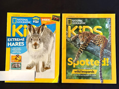 Lot Of 33 National Geographic Kids, Ranger Rick, RR Jr Magazines 2019-2025