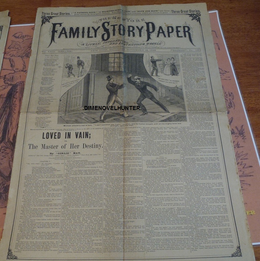 NEW YORK FAMILY STORY PAPER #1154 SCARCE NORMAN MUNRO 1895 STORY PAPER