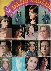 FLIP TEEN Magazine Mar. 1971 David Cassidy, Bobby Sherman, Jackson Five, More