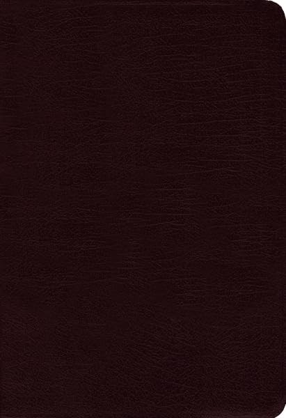Amplified Bible