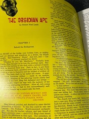 FANTASY CLASSICS Obsidian Ape Robert Neal Leath 1973 Dark Fantasy illustrated