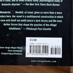 Ruth Rendell The Babes in the Wood Paperback Crime Mystery Novel Vintage Books