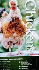 Chickens Special Nutrition Issue Magazine May June 2023 Vol 14 No 3