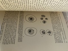 The Growing Brain An Essay in Developmental Neurology By M. C. H Dodgson