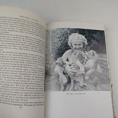 1966 The Story of Elsa by Joy Adamson HC 319 Pages Dust Jacket