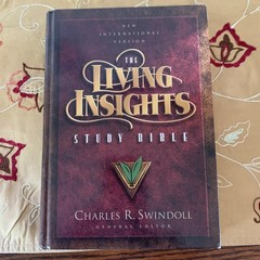 Living Insights Study Bible Burgundy