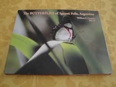 The Butterflies of Iguazu Falls, Argentina By William J. Cooper