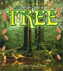 The Life Cycle of a Tree – 0778706893, paperback, Bobbie Kalman