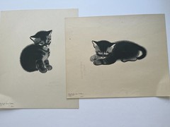 CATS ~ A PORTFOLIO ~ Clare Turlay Newberry ~ 1943 vintage prints x 16