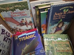 Instant Classroom Library Lot of 25 Children Kid Chapter Books Random Selection