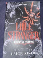Little Stranger: A Dark Taboo Romance (The Web of Silence Duet), Rivers, Leigh,