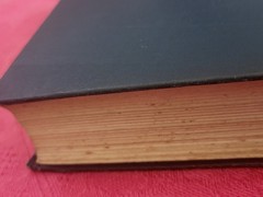 “Rilla of Ingleside” (1921) L.M. Montgomery, WWI, FWW novel Toronto McClelland