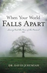 When Your World Falls Apart: See Past the Pain of the Present – Paperback – GOOD