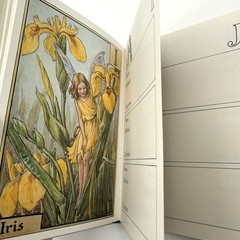 The Flower Fairies Address Book by Cicely Mary Barker – 1981 Hardcover – New