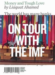 Money and Tough Love : The World Has Many Banks Paperback Liaquat