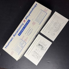 Human Anatomy & Physiology Study Cards Van De Graaff Rhees 300 Cards Wm Brown