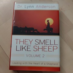 THEY SMELL LIKE SHEEP, VOLUME 2: LEADING WITH THE HEART OF By Lynn Anderson *VG*
