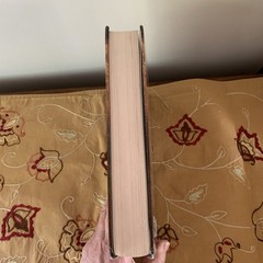 Living Insights Study Bible Burgundy