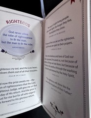 Promises for a Woman of Worth Proverbs 31:10 Christian Devotional Book