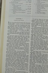 The Open Bible Expanded Edition NASB Brown Genuine Leather RL 1985 Nelson 976BR