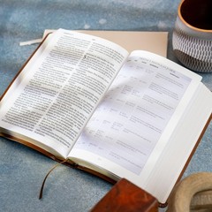 RVR 1960 Biblia letra grande tamaño manual edición tierra santa café símil piel