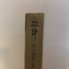 Castlereagh Janet Louise Roberts 1975 Pocket Books Gothic Romance Paperback Book