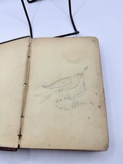 That Husband of Mine Mary Andrews Denison 1877 Antique HC Book