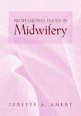 Professional Issues in Midwifery by Hamlin, Lynette