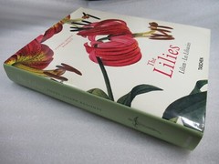 THE LILIES – Pierre-Joseph Redoute 1759-1840 – Taschen 2000 HB-DJ