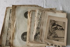 18th 19th century antique engraved plates Natural History William Strang bundle