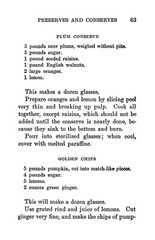 1919 A Manual Of Canning And Preserving Book 106 Pages