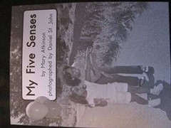 My Five Senses (Fountas and Pinnell Leveled Literacy Intervention Bo – VERY GOOD