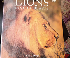 Lions: King of Beasts Server, Lee Hardcover Collectible – LIKE NEW