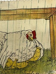 Vtg 1926 Pets of the Farm Saalfield Publishing Muslin Cloth Childrens Book