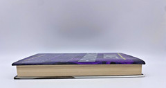 Janet Evanovich Smokin’ Seventeen A Stephanie Plum Novel-308 pages Exciting