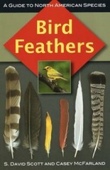 Bird Feathers, Scott, S. David,McFarland, Casey, Very Good Book